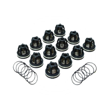 Set supape 6702114